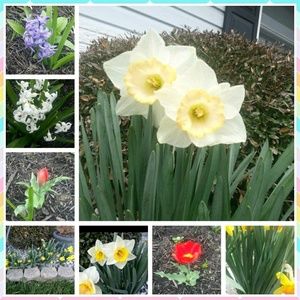 Meet your Posher, Edna